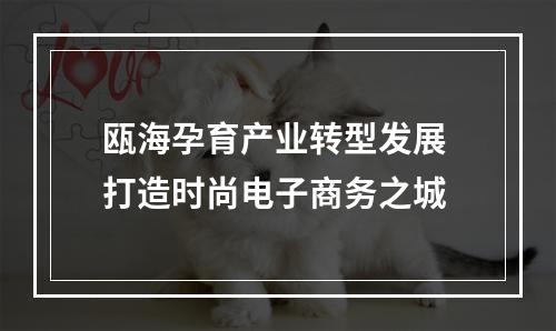 瓯海孕育产业转型发展 打造时尚电子商务之城