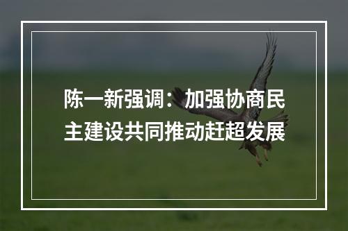 陈一新强调：加强协商民主建设共同推动赶超发展