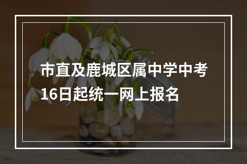 市直及鹿城区属中学中考16日起统一网上报名