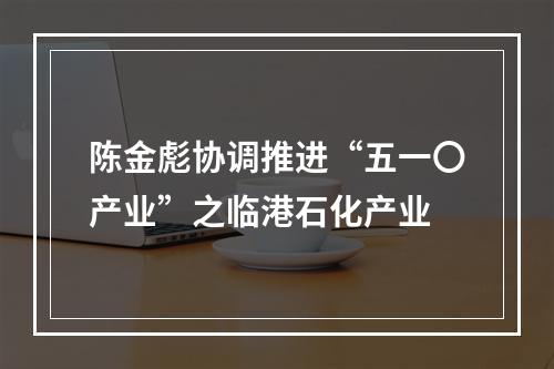 陈金彪协调推进“五一〇产业”之临港石化产业