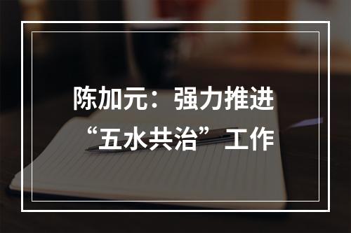 陈加元：强力推进 “五水共治”工作