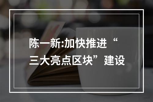 陈一新:加快推进“三大亮点区块”建设
