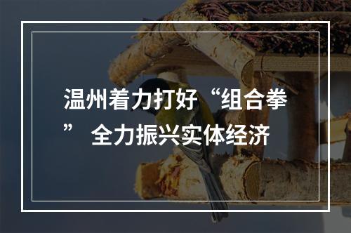 温州着力打好“组合拳” 全力振兴实体经济