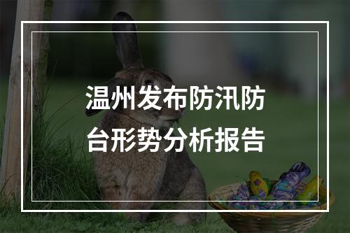 温州发布防汛防台形势分析报告