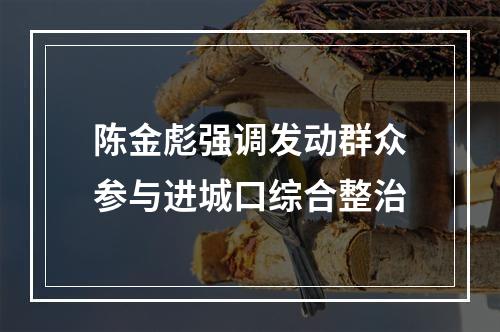 陈金彪强调发动群众参与进城口综合整治