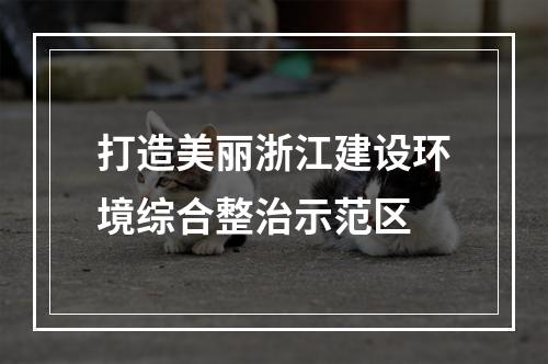 打造美丽浙江建设环境综合整治示范区