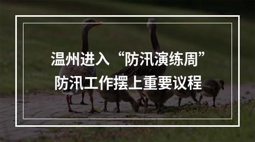 温州进入“防汛演练周” 防汛工作摆上重要议程