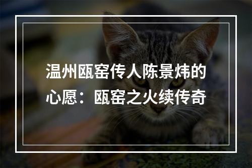 温州瓯窑传人陈景炜的心愿：瓯窑之火续传奇