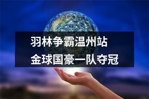 羽林争霸温州站 金球国豪一队夺冠