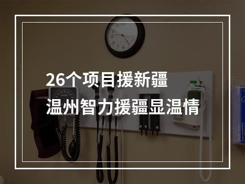 26个项目援新疆 温州智力援疆显温情