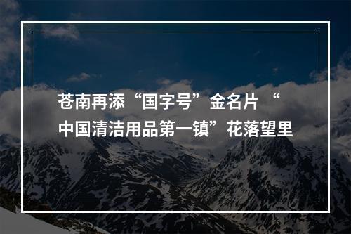 苍南再添“国字号”金名片 “中国清洁用品第一镇”花落望里