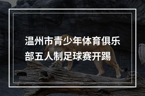 温州市青少年体育俱乐部五人制足球赛开踢