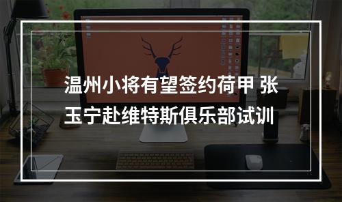温州小将有望签约荷甲 张玉宁赴维特斯俱乐部试训