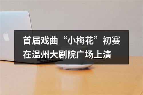 首届戏曲“小梅花”初赛在温州大剧院广场上演