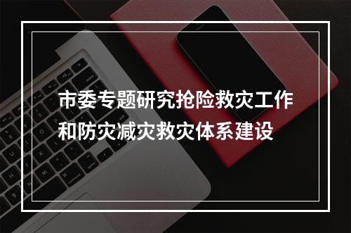 市委专题研究抢险救灾工作和防灾减灾救灾体系建设