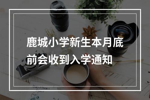 鹿城小学新生本月底前会收到入学通知