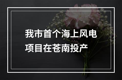 我市首个海上风电项目在苍南投产
