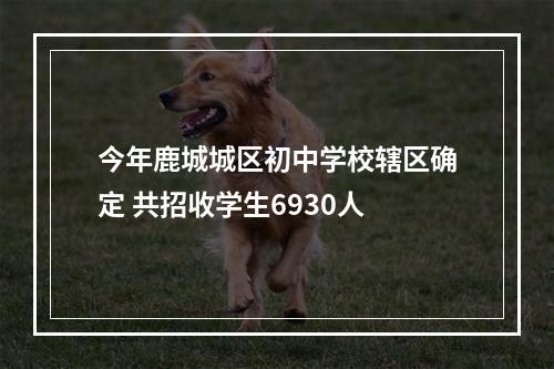 今年鹿城城区初中学校辖区确定 共招收学生6930人