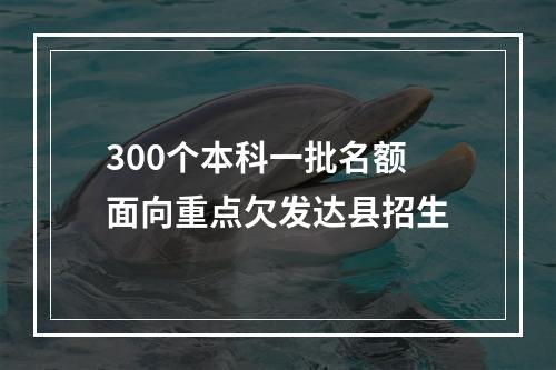 300个本科一批名额 面向重点欠发达县招生