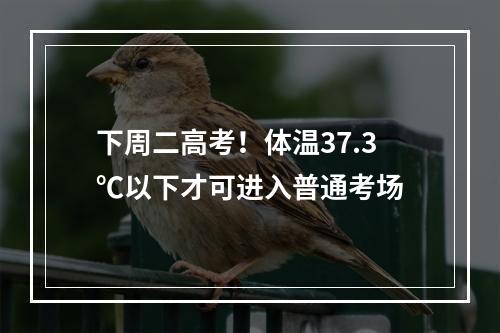 下周二高考！体温37.3℃以下才可进入普通考场