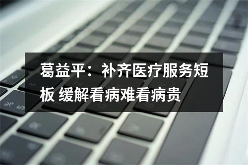 葛益平：补齐医疗服务短板 缓解看病难看病贵