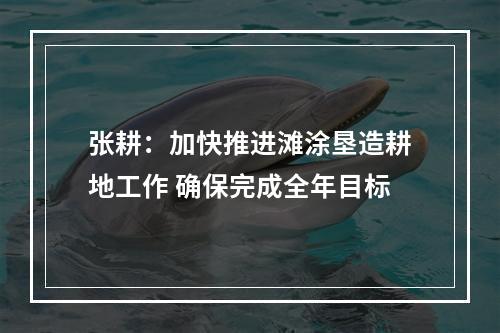 张耕：加快推进滩涂垦造耕地工作 确保完成全年目标