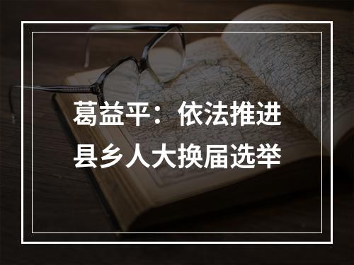 葛益平：依法推进县乡人大换届选举
