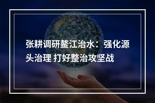 张耕调研鳌江治水：强化源头治理 打好整治攻坚战