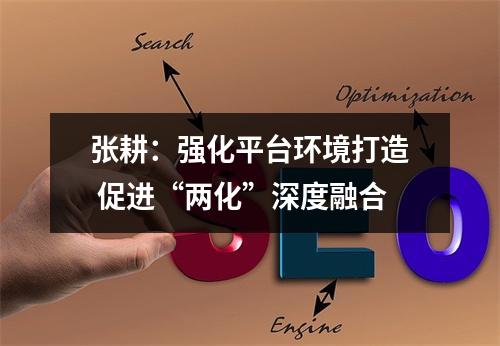 张耕：强化平台环境打造 促进“两化”深度融合