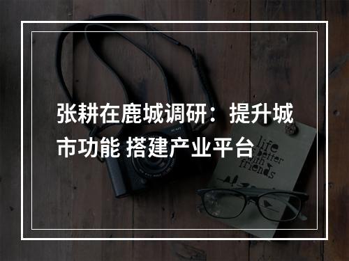 张耕在鹿城调研：提升城市功能 搭建产业平台