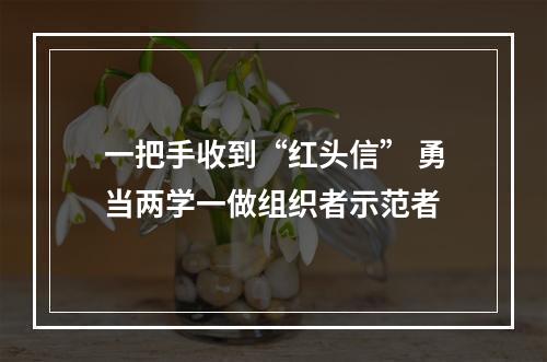 一把手收到“红头信” 勇当两学一做组织者示范者
