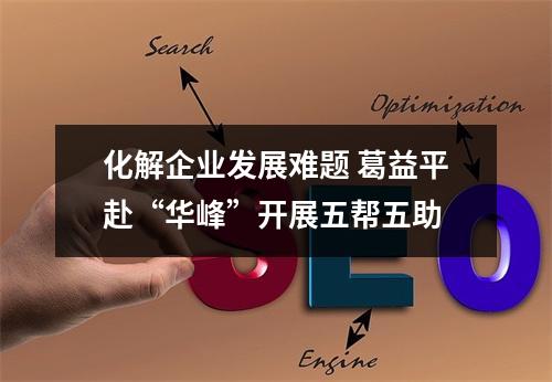 化解企业发展难题 葛益平赴“华峰”开展五帮五助