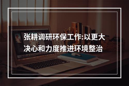 张耕调研环保工作:以更大决心和力度推进环境整治