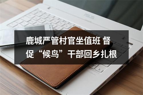 鹿城严管村官坐值班 督促“候鸟”干部回乡扎根