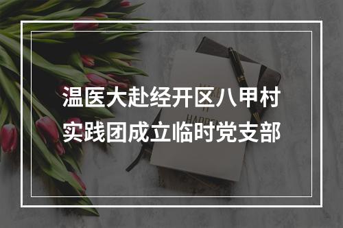 温医大赴经开区八甲村实践团成立临时党支部