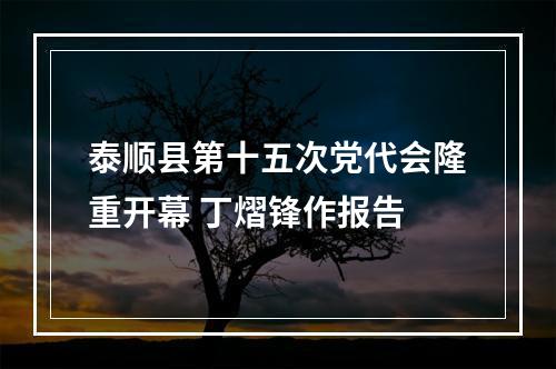 泰顺县第十五次党代会隆重开幕 丁熠锋作报告