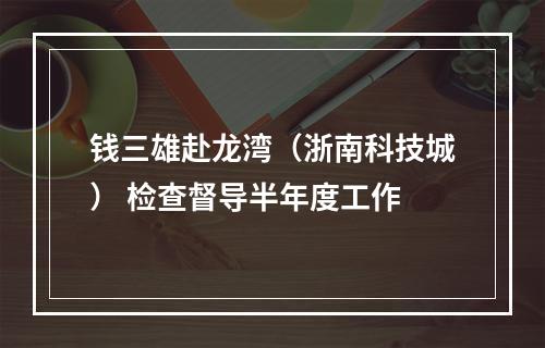 钱三雄赴龙湾（浙南科技城） 检查督导半年度工作