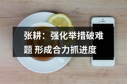 张耕：强化举措破难题 形成合力抓进度