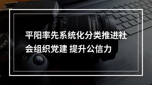 平阳率先系统化分类推进社会组织党建 提升公信力