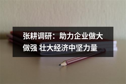 张耕调研：助力企业做大做强 壮大经济中坚力量