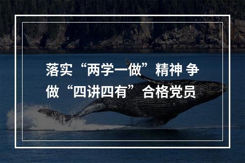 落实“两学一做”精神 争做“四讲四有”合格党员