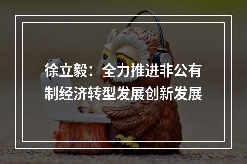 徐立毅：全力推进非公有制经济转型发展创新发展
