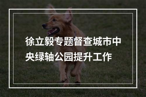 徐立毅专题督查城市中央绿轴公园提升工作