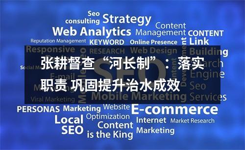 张耕督查“河长制”：落实职责 巩固提升治水成效