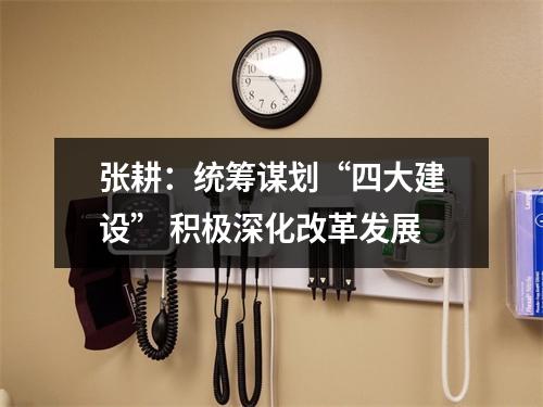 张耕：统筹谋划“四大建设” 积极深化改革发展