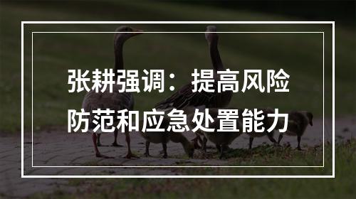 张耕强调：提高风险防范和应急处置能力