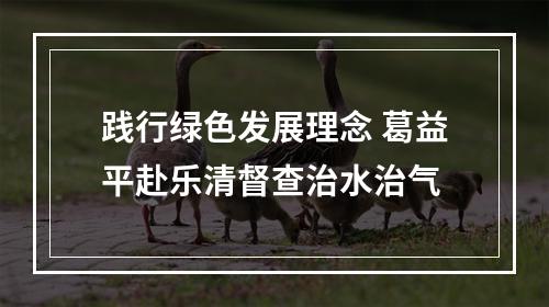践行绿色发展理念 葛益平赴乐清督查治水治气