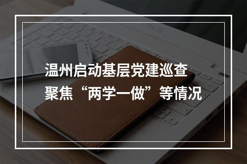 温州启动基层党建巡查 聚焦“两学一做”等情况