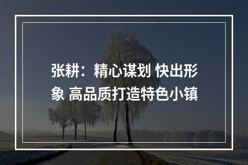 张耕：精心谋划 快出形象 高品质打造特色小镇