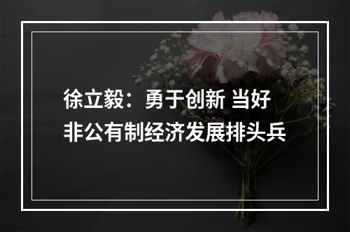 徐立毅：勇于创新 当好非公有制经济发展排头兵